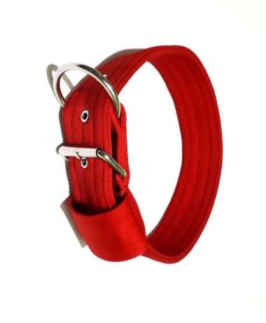 Kalung Anjing Besar Dog Collar