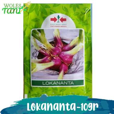 Benih Bibit Seed Bawang Merah Lokananta 10 Gram Jawa Timur