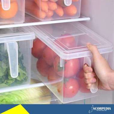 Kotak Tempat Penyimpanan Bahan Makanan di Kulkas Container Box