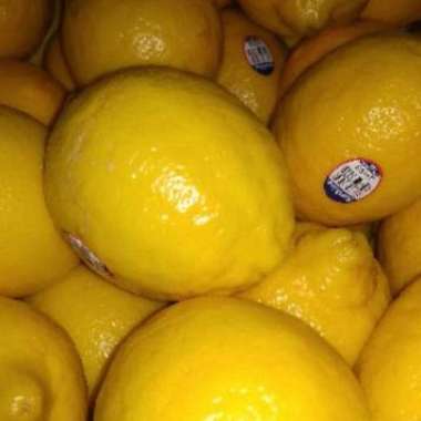 jeruk lemon import 1kg