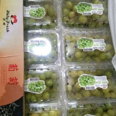buah anggur muscat 1 dus