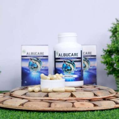 Jual Ikan Gabus Online Baru - Harga Termurah Juni 2020 ...
