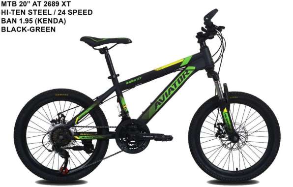 MTB 20 Inc Aviator by.pasific 3x8Speed Rem cakram velag alluminium