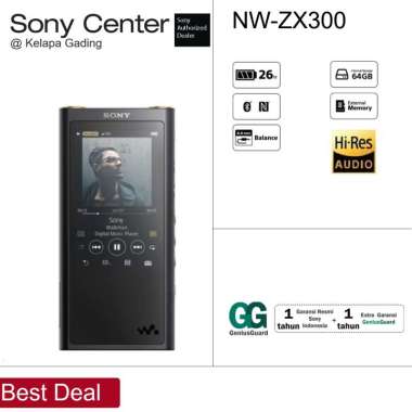 Jual Sony Walkman Nw Zx300 Music Player Hi Res Juli 2022 Berkualitas