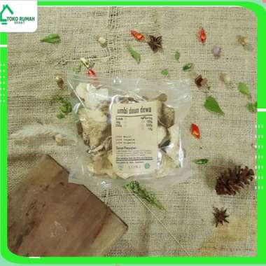 UMBI DAUN DEWA KERING 500 GRAM - Gynura Divaricata - MURNI - JSR