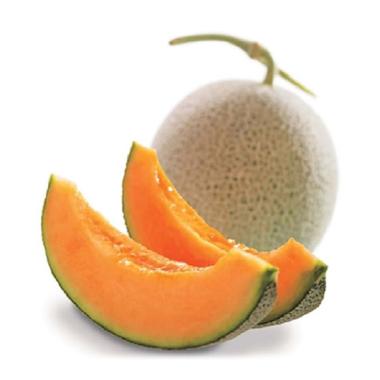 Harga Melon Orange | Blibli.com