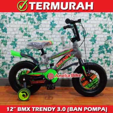 Sepeda Anak Roda 4 Untuk Umur 4 Tahun - Harga Termurah