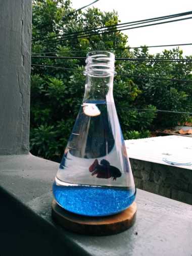 Daftar Harga Akuarium / Aquarium Termurah & Berkualitas