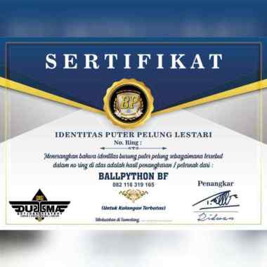 Jual Kertas Untuk Sertifikat Terbaru - Harga Murah ...