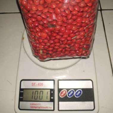 Jual Saga Manis Tanaman Terbaik April 2022 - Harga Murah & Gratis
