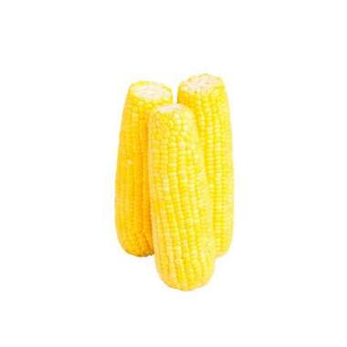 JAGUNG MANIS ORGANIC 950 - 1000 G