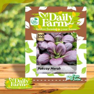 DF benih sawi PAKCOY MERAH 300 butir bibit pak choy ungu daily farm