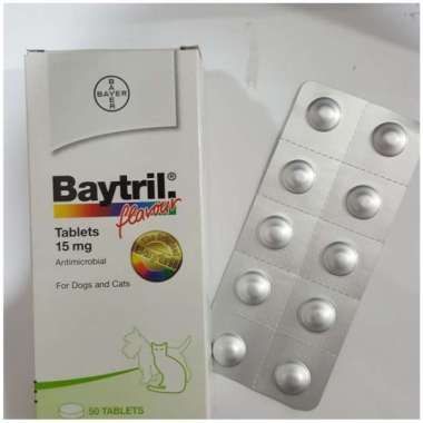 OEM Baytril Flavour Tablet 15 mg - Antibiotik Anjing Kucing 10 tablet