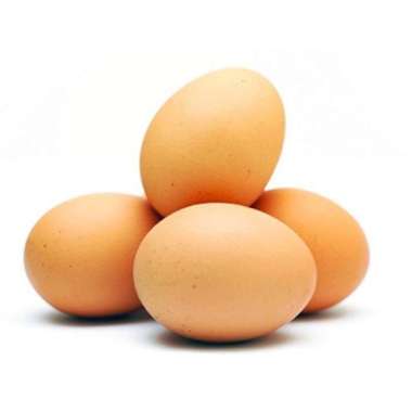 Jual Telor Ayam 1 Kg Agustus 2021 banyak pilihan â