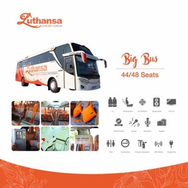 BigBus Tours: Menjelajahi Dunia dengan Kenyamanan dan Kemudahan