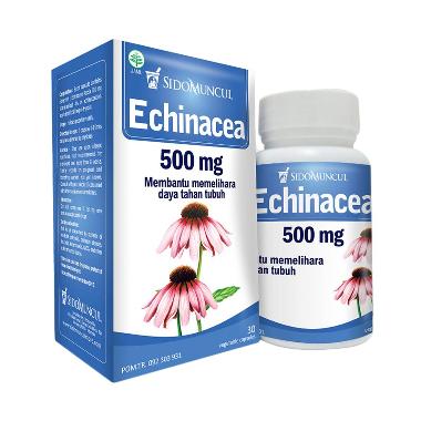 Sido Muncul Echinacea 30 Kapsul Obat Radang Tenggorokan