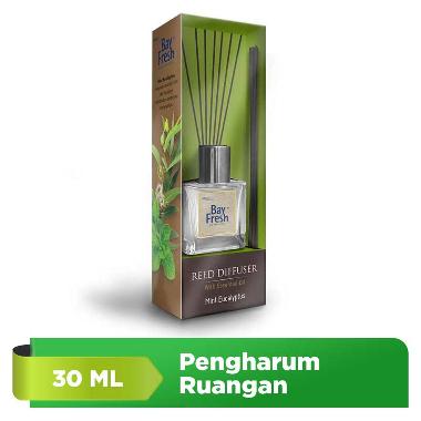 Bayfresh Reed Diffuser Starter Mint Eucalyptus [30 mL]