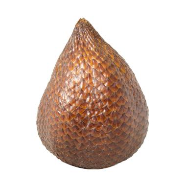 60 Gambar  Animasi Buah  Salak  Paling Dicari 