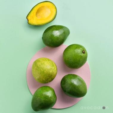 Avocadron Alpukat Mini [2 kg/ 10-13 Buah]