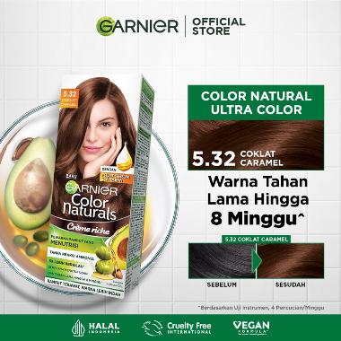 Promo Harga Garnier Hair Color 5.32 Coklat Caramel 105 ml - Blibli