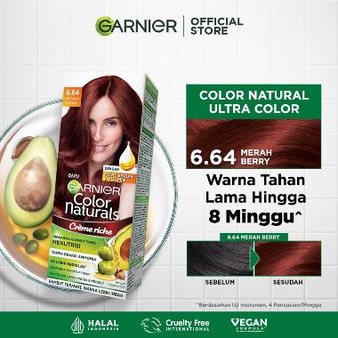 Promo Harga Garnier Hair Color 6.64 Merah Berry 105 ml - Blibli