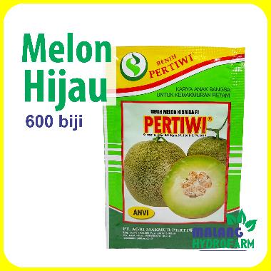 Benih Melon Hijau Pertiwi 600 biji unggul bibit hidroponik hydroponik tanah manis panah merah sky