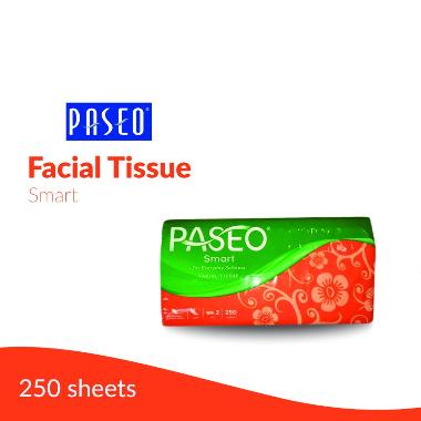 Paseo Smart Tissue [250 sheets/ 48 pcs/ Grosir] Orange & Green