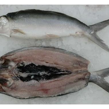 Ikan Bandeng Cabut Duri