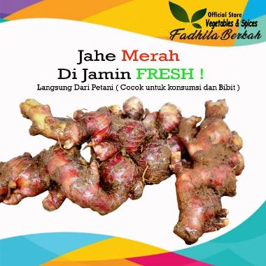 harga jahe merah per kg - Harga Terbaru Agustus 2021 | Blibli