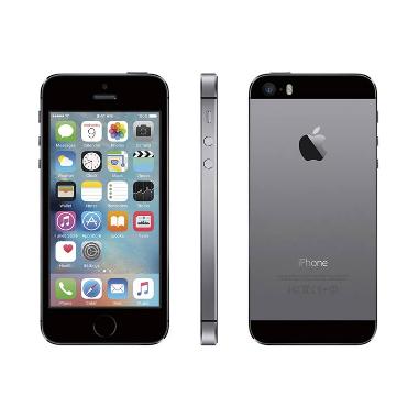 Apple iPhone 5S 64 GB Smartphone - Gray
