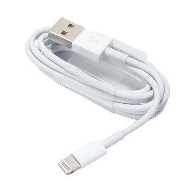 Apple Kabel Data for iPhone 5/5S/6/6S/6Plus/iPad Mini - White