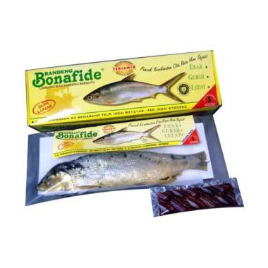 Jual Bandeng Otak-Otak Bonafide Semarang Online - Harga