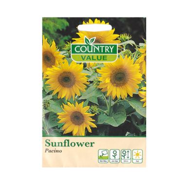 Country Value Sunflower Pacino Bibi ...