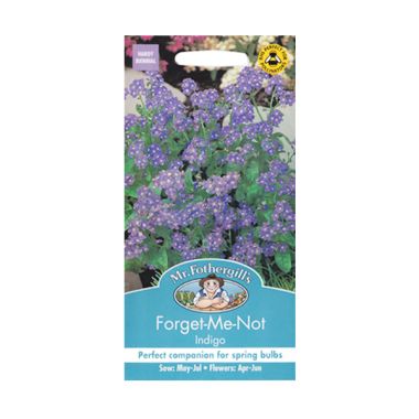 Mr Fothergill's Forget Me Not Indig ...