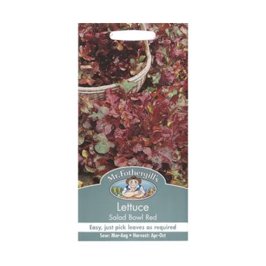 Mr Fothergill's Lettuce Salad Bowl ...