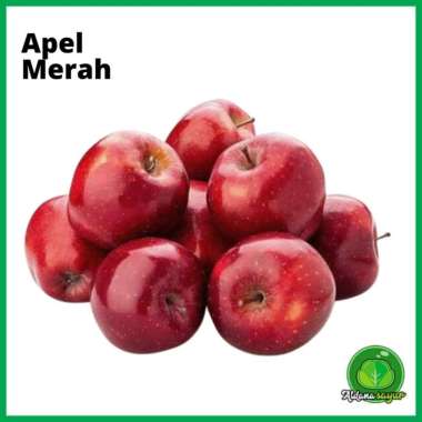 Jual Apel Merah 1 Kg Termurah - Harga Grosir Terupdate Hari Ini | Blibli