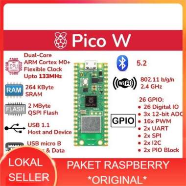 Raspberry Pi Pico W - Wireless