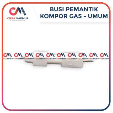 Busi Jarum Pemantik Kompor Gas LPG Umum Rinnai Winn Kecil Portable Putih Api Keramik Elektroda