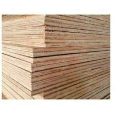 Triplek / triplex 3.6 mm sengon