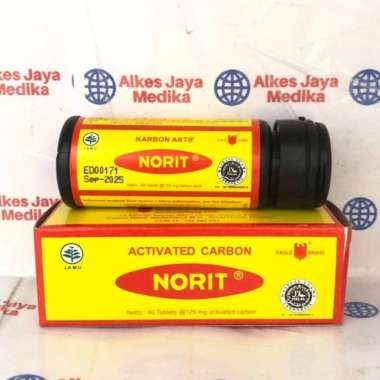 NORIT - karbon aktif