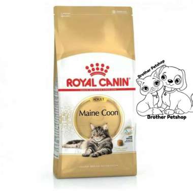 Royal Canin Maine Coon Adult 4kg - Royal Canin Adult Maine Coon 4 kg