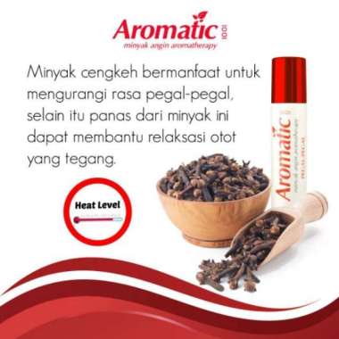 Minyak Angin Aromatic 1001