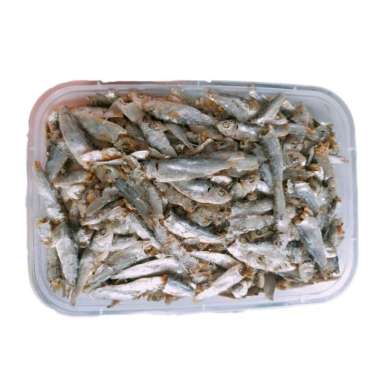 Ikan Tembang Asin Olahan Fresh Frozen