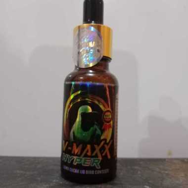 V-MAXX HYPER VMAX V MAX HIPER CUCAK IJO PENGGACOR BURUNG CUCAK IJO DAN PEMAKAN BUAH LAINNYA