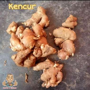 KENCUR SEGAR 1 KG
