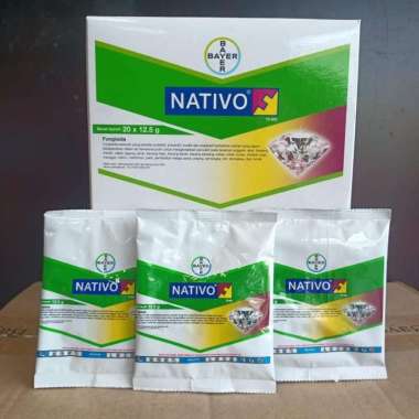 Fungisida Nativo 12,5gr