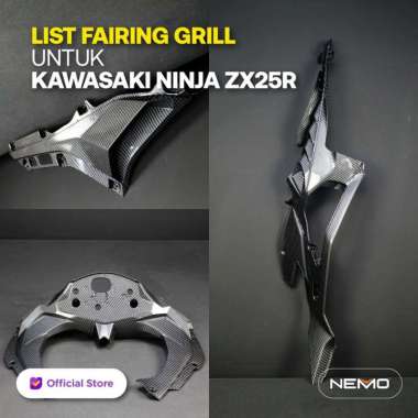 Grill Fairing Kawasaki Ninja ZX25R Carbon