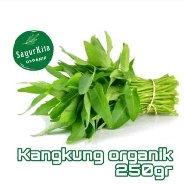 Kangkung Organik 4pack mix