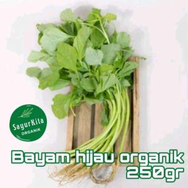 Bayam Hijau Organik 250gr