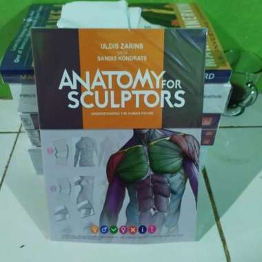Buku Anatomy for Sculptors, Understanding